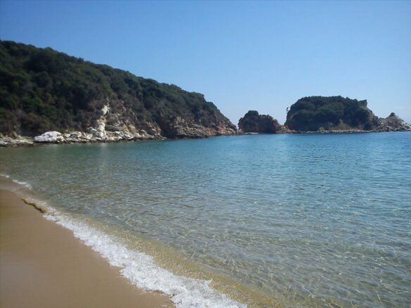 20,000 M² Plot Available In Athos, Chalkidiki Region