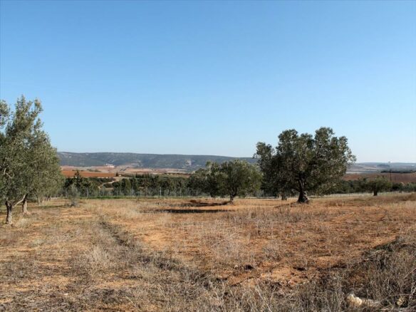 Land Available In Chalkidiki With Development Potential