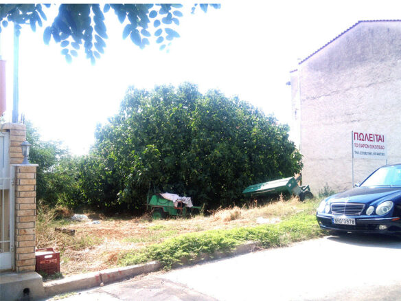 Land Opportunity In Chalkidiki