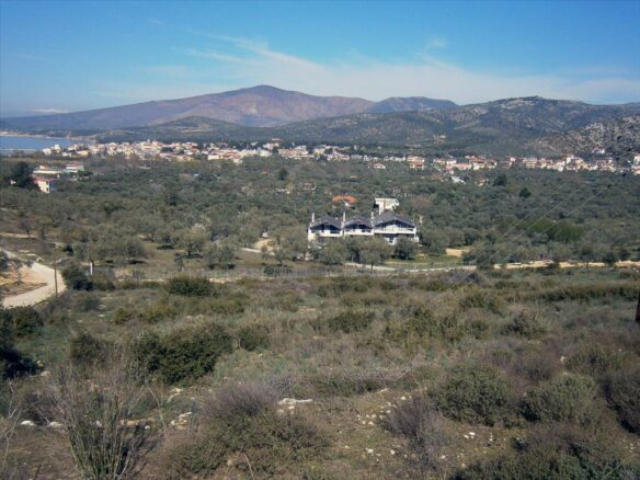 Land Opportunity On Thassos Island