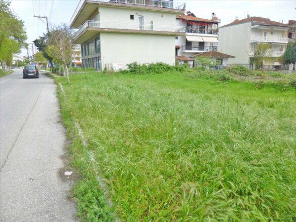 Vacant Land Opportunity On The Olympic Coast