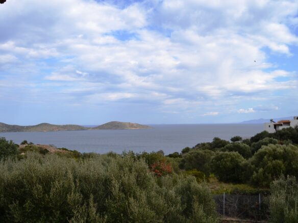 Business In Agios Nikolaos, Greece (420 M²)