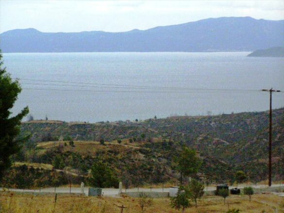 Land Parcel 15,000 M² In Kassandra, Chalkidiki