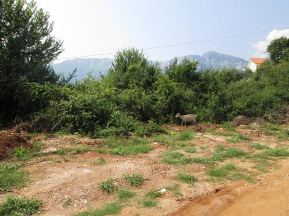 Land Measurement Of 461 M² On Thassos Island