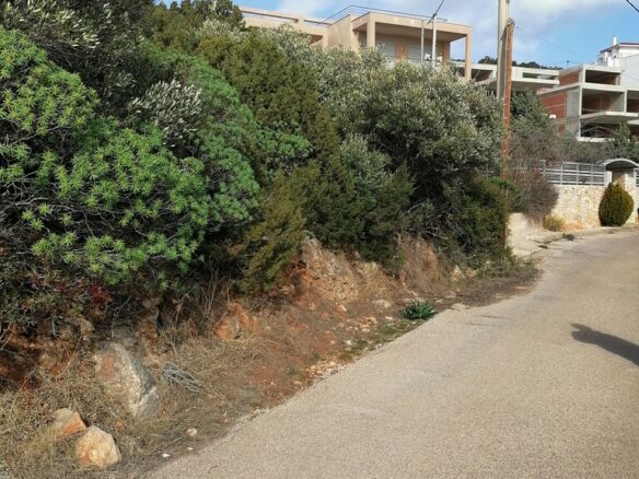 Plot Of 1187 M² With Potential In Attica Region