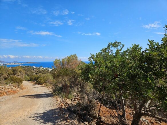 Land Parcel Of 5844 M² Located In Crete Region