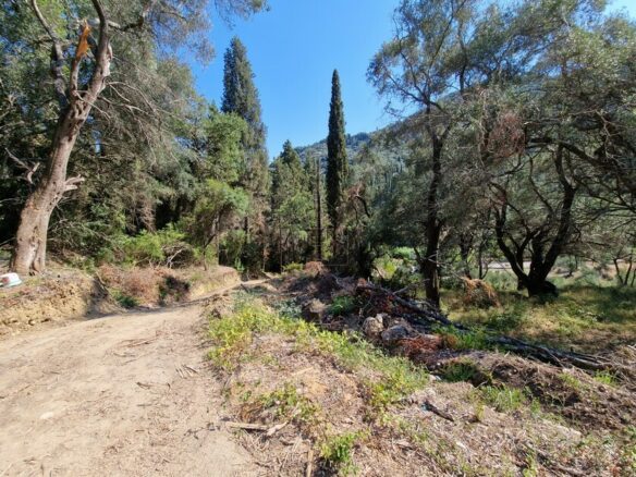 Plot Of 8500 M² Available In Corfu