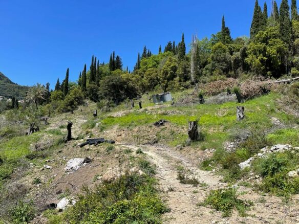 Plot Of 8500 M² Available In Corfu