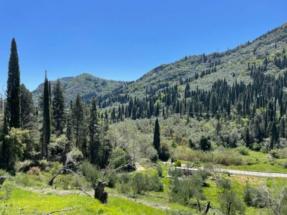 Plot Of 8500 M² Available In Corfu