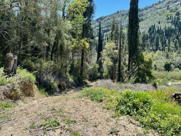 Plot Of 8500 M² Available In Corfu