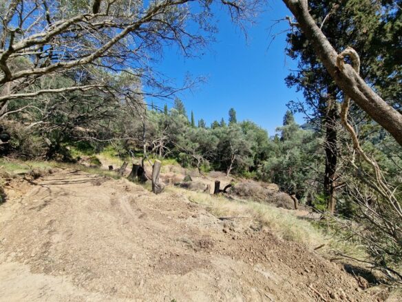 Plot Of 8500 M² Available In Corfu