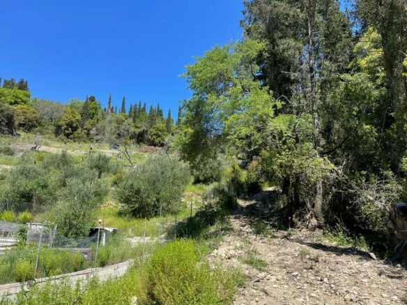 Plot Of 8500 M² Available In Corfu