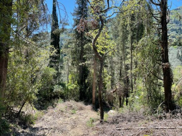 Plot Of 8500 M² Available In Corfu