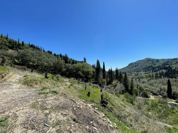 Plot Of 8500 M² Available In Corfu