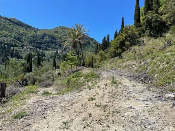 Plot Of 8500 M² Available In Corfu