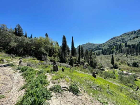 Plot Of 8500 M² Available In Corfu