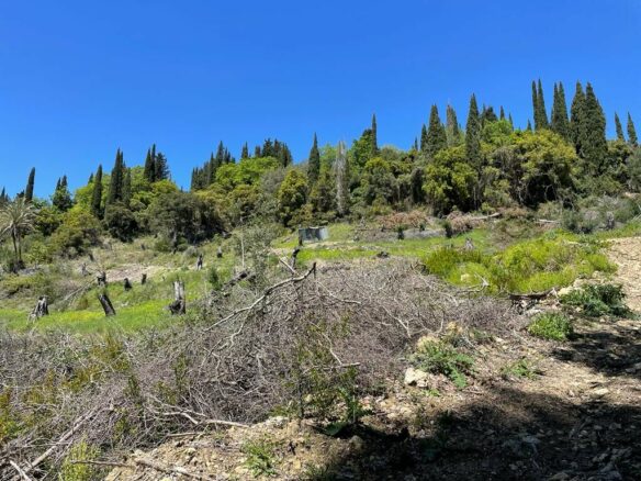 Plot Of 8500 M² Available In Corfu