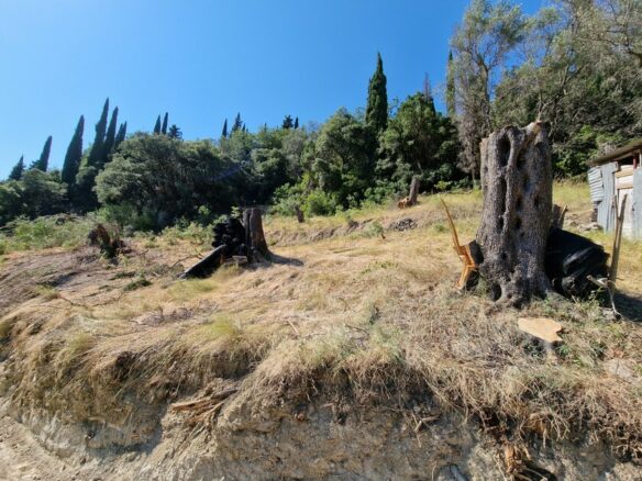 Plot Of 8500 M² Available In Corfu