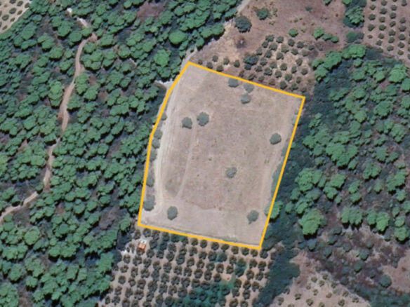 Land In Poligiros, Greece