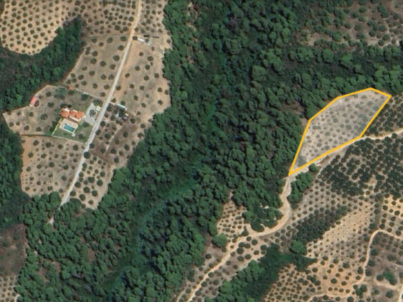 Land In Sithonia, Greece