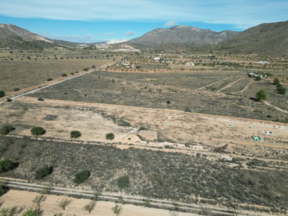 Land In Hondón De Los Frailes, Spain (11.111 M² Plot)