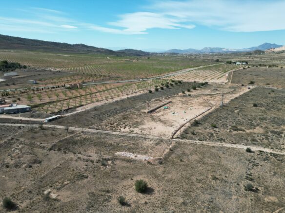 Land In Hondón De Los Frailes, Spain (11.111 M² Plot)