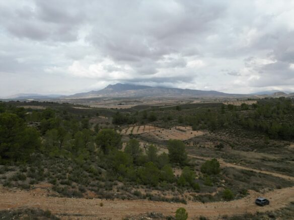 Land In La Zarza, Spain (250 M²)