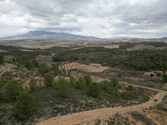 Land In La Zarza, Spain (250 M²)