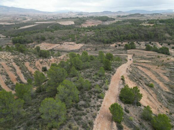 Land In La Zarza, Spain (250 M²)