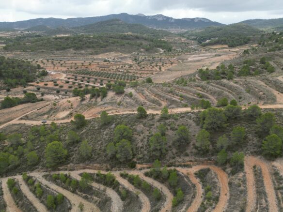 Land In La Zarza, Spain (250 M²)