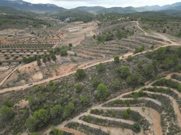 Land In La Zarza, Spain (250 M²)
