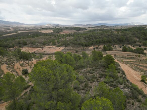 Land In La Zarza, Spain (250 M²)