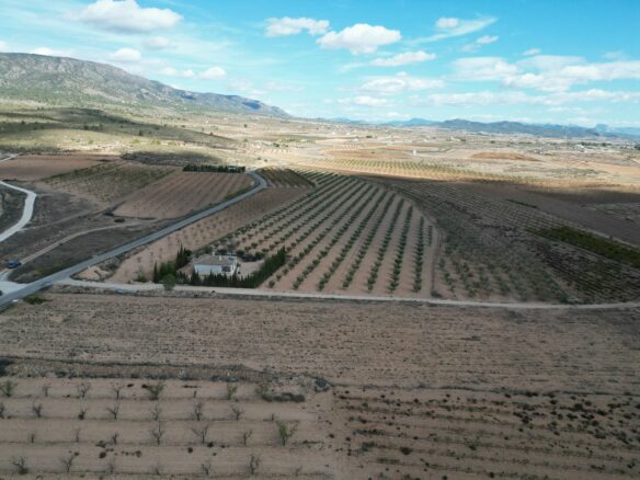 Land In Lel, Spain (12.393 M² Plot)