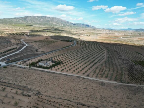 Land In Lel, Spain (12.393 M² Plot)
