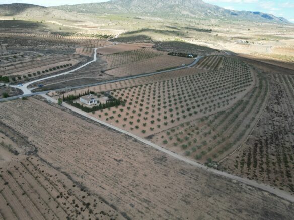 Land In Lel, Spain (12.393 M² Plot)