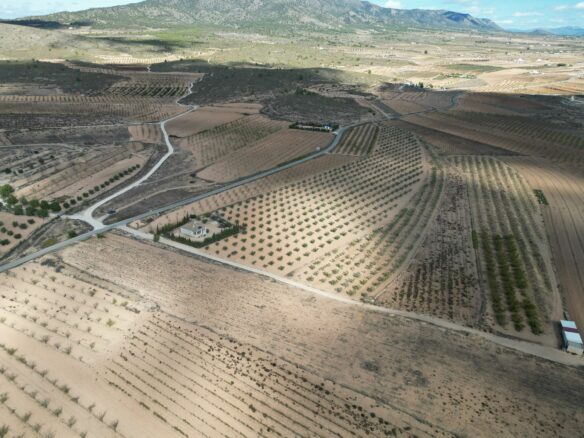 Land In Lel, Spain (12.393 M² Plot)