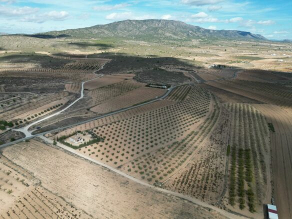 Land In Lel, Spain (12.393 M² Plot)