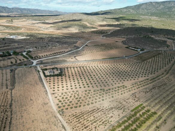 Land In Lel, Spain (12.393 M² Plot)