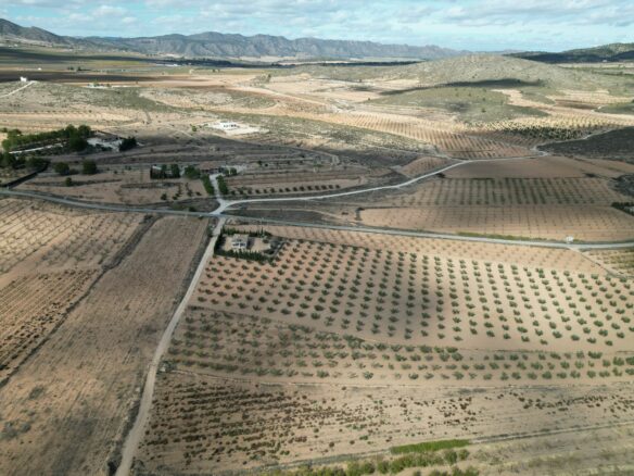 Land In Lel, Spain (12.393 M² Plot)