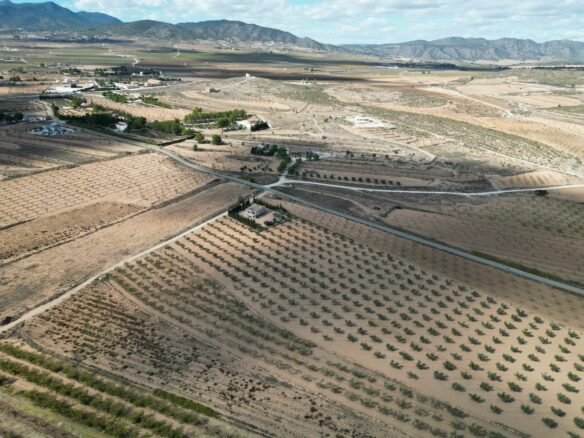 Land In Lel, Spain (12.393 M² Plot)