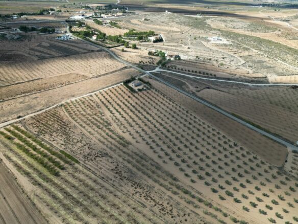 Land In Lel, Spain (12.393 M² Plot)