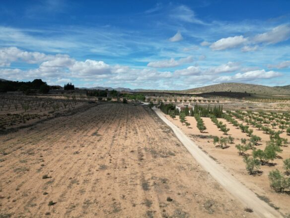 Land In Lel, Spain (12.393 M² Plot)