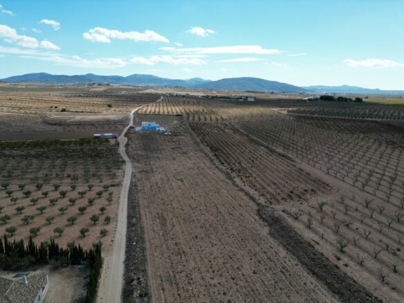 Land In Lel, Spain (12.393 M² Plot)