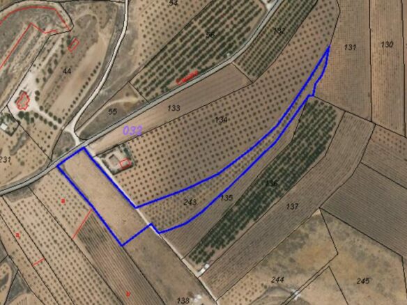 Land In Lel, Spain (12.393 M² Plot)