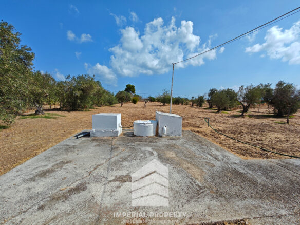 Evia Detached House With Land Near A. Anna Beach