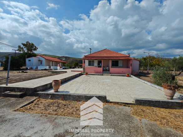Evia Detached House With Land Near A. Anna Beach