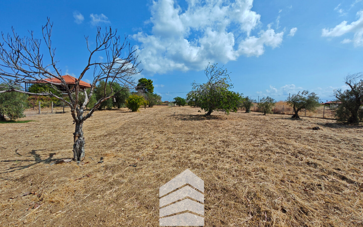 Evia Detached House With Land Near A. Anna Beach