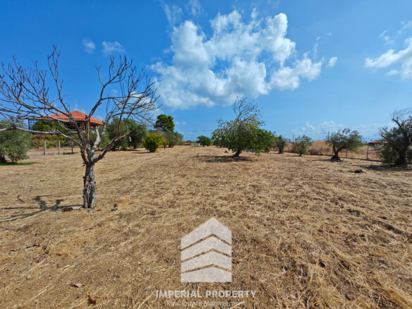 Evia Detached House With Land Near A. Anna Beach