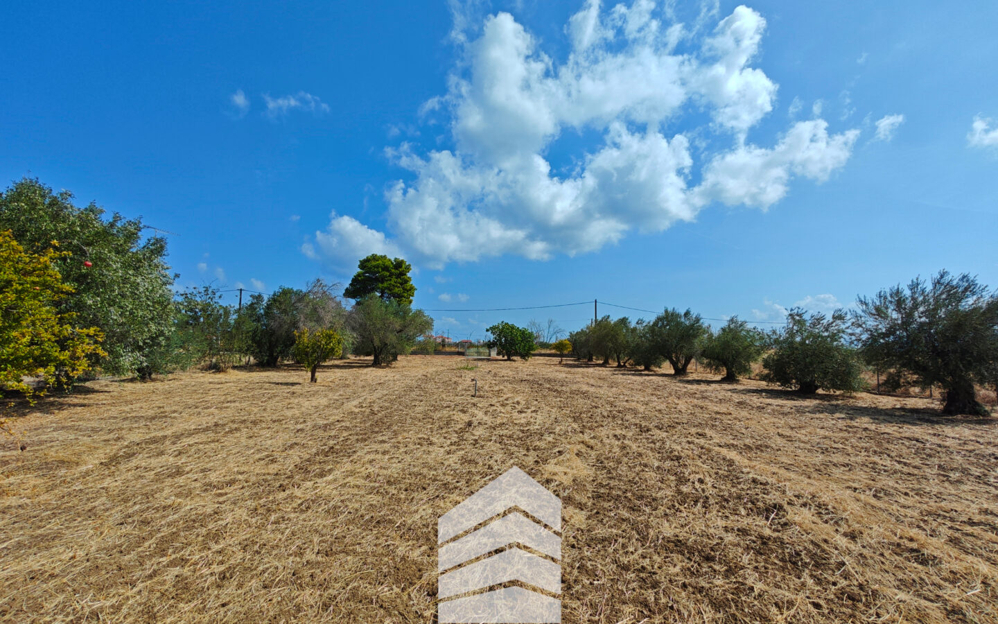 Evia Detached House With Land Near A. Anna Beach