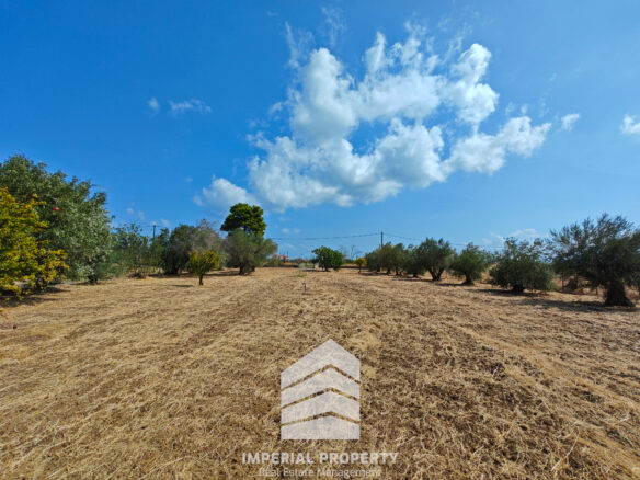 Evia Detached House With Land Near A. Anna Beach